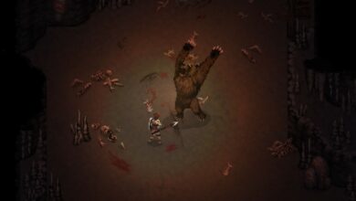 Drova Forsaken Kin Bear