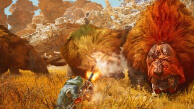 Monster Hunter Wilds Player Fighting
