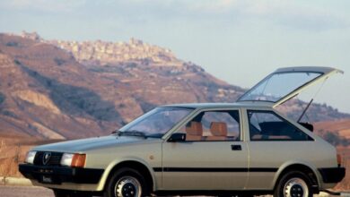 Alfa Romeo Arna (920) 1.5 (95 Hp) teknik özellikler ve yakıt tüketimi