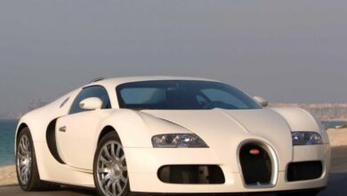Bugatti Veyron EB 16.4 8.0 W16 64V (1001 Hp) teknik özellikler ve yakıt tüketimi