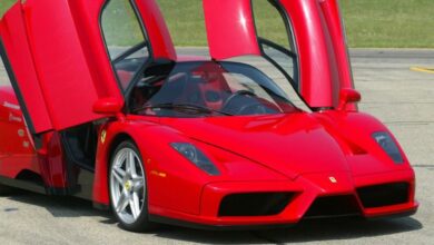 Ferrari Enzo 6.0 V12 (660 Hp) teknik özellikler ve yakıt tüketimi