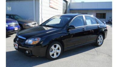 Kia Spectra 1.6 i 16V (101 Hp) teknik özellikler ve yakıt tüketimi