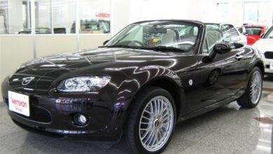 Mazda Roadster (NCEC) 2.0 i (167 Hp) teknik özellikler ve yakıt tüketimi