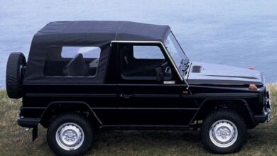 Mercedes-Benz G-Klasse Cabrio (W460,W461 250 2.5d (92hp) 4WD teknik özellikler ve yakıt tüketimi