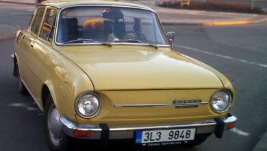 Skoda 100 1.0 (42 Hp) teknik özellikler ve yakıt tüketimi