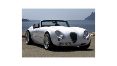Wiesmann Roadster 2.8 i 24V (193 Hp) teknik özellikler ve yakıt tüketimi