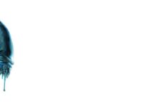 Aliens: Colonial Marines Sistem Gereksinimleri (2026) Sistem Gereksinimleri