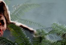 BIGFOOT Sistem Gereksinimleri (2026) Sistem Gereksinimleri