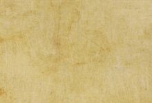 Bound by Flame Sistem Gereksinimleri (2026) Sistem Gereksinimleri