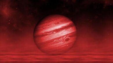 Brutal Fate Sistem Gereksinimleri (2026) Brutal Fate Sistem Gereksinimleri (2026) Sistem Gereksinimleri