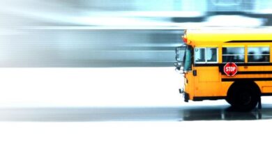 Bus Driver Sistem Gereksinimleri (2026) Sistem Gereksinimleri