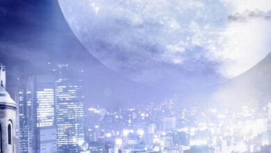 Dark Sistem Gereksinimleri (2026) Sistem Gereksinimleri