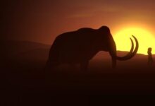 Dawn of Man Sistem Gereksinimleri (2026) Sistem Gereksinimleri