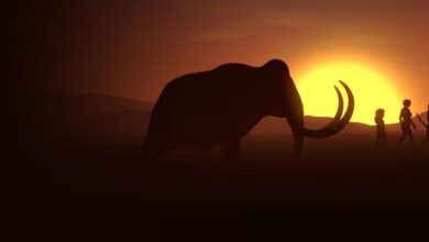 Dawn of Man Sistem Gereksinimleri (2026) Dawn of Man Sistem Gereksinimleri (2026) Sistem Gereksinimleri