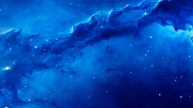 Distant Worlds 2 Sistem Gereksinimleri (2026) Sistem Gereksinimleri