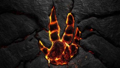 Evolve Sistem Gereksinimleri (2026) Evolve Sistem Gereksinimleri (2026) Sistem Gereksinimleri