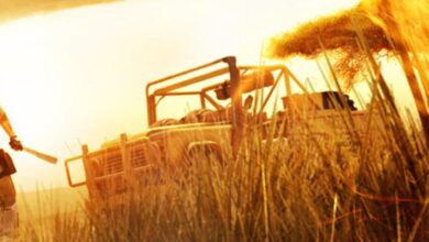 Far Cry 2 Sistem Gereksinimleri (2026) Far Cry 2 Sistem Gereksinimleri (2026) Sistem Gereksinimleri