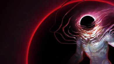 GRIME Sistem Gereksinimleri (2026) Sistem Gereksinimleri