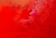 Guild Wars 2 Sistem Gereksinimleri (2026) Sistem Gereksinimleri