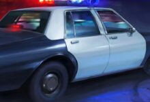 Police Stories Sistem Gereksinimleri (2026) Sistem Gereksinimleri