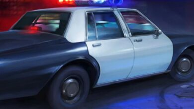 Police Stories Sistem Gereksinimleri (2026) Sistem Gereksinimleri