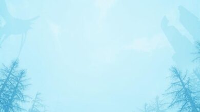 Praey for the Gods Sistem Gereksinimleri (2026) Praey for the Gods Sistem Gereksinimleri (2026) Sistem Gereksinimleri