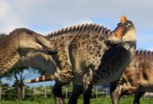 Prehistoric Kingdom Sistem Gereksinimleri (2026) Sistem Gereksinimleri