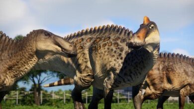 Prehistoric Kingdom Sistem Gereksinimleri (2026) Sistem Gereksinimleri