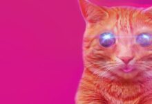 PUSS! Sistem Gereksinimleri (2026) Sistem Gereksinimleri