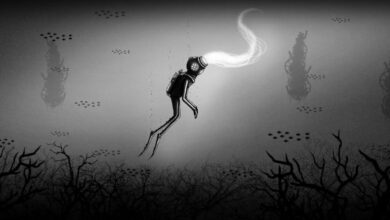 SILT Sistem Gereksinimleri (2026) Sistem Gereksinimleri