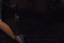 The Forest Sistem Gereksinimleri (2026) Sistem Gereksinimleri