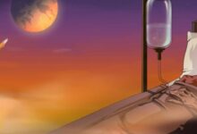 To the Moon Sistem Gereksinimleri (2026) Sistem Gereksinimleri