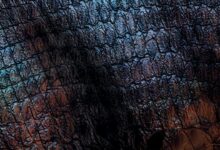 Turok 2: Seeds of Evil Sistem Gereksinimleri (2026) Sistem Gereksinimleri