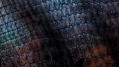 Turok 2: Seeds of Evil Sistem Gereksinimleri (2026) Sistem Gereksinimleri