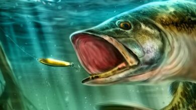 Ultimate Fishing Simulator Sistem Gereksinimleri (2026) Sistem Gereksinimleri