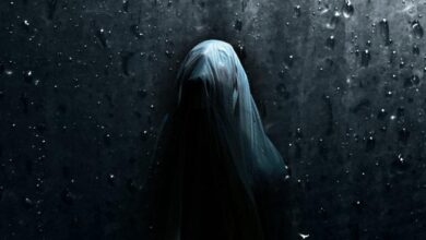 Visage Sistem Gereksinimleri (2026) Sistem Gereksinimleri