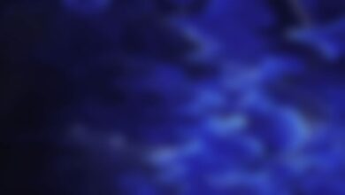 Warcraft III - The Frozen Throne Sistem Gereksinimleri (2026) Sistem Gereksinimleri