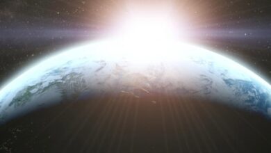 X3: Terran Conflict Sistem Gereksinimleri (2026) X3: Terran Conflict Sistem Gereksinimleri (2026) Sistem Gereksinimleri