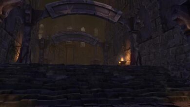 Ziggurat Sistem Gereksinimleri (2026) Sistem Gereksinimleri